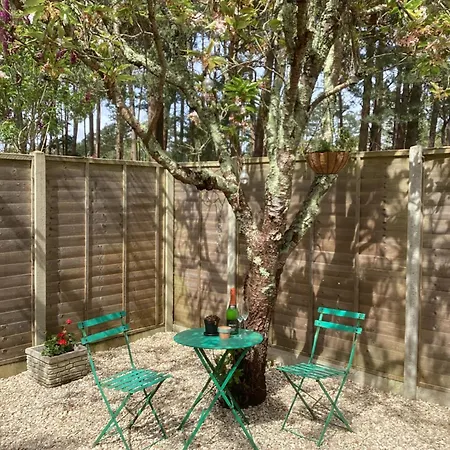 Forest Heath Holidays - The Nook Ringwood Exterior photo