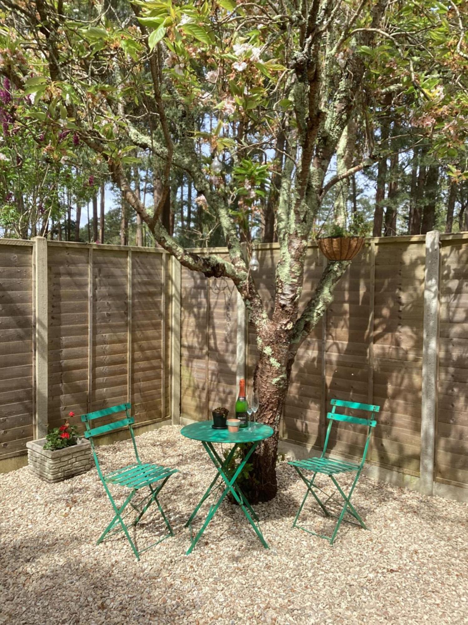Apartment Forest Heath Holidays - The Nook Ringwood